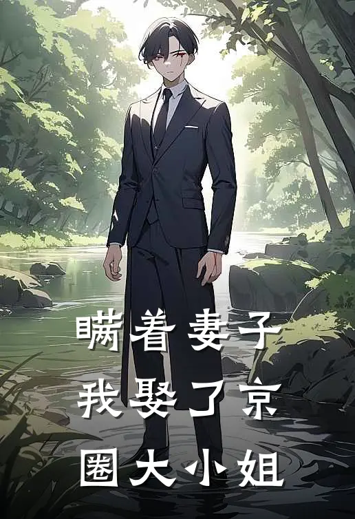 瞒着妻子，我娶了京圈大小姐