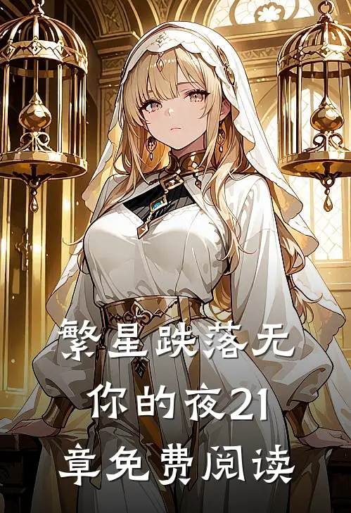 繁星跌落无你的夜21章免费阅读